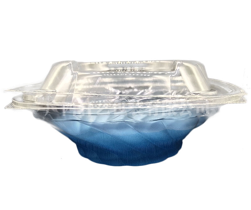 广西塑料吸塑内托 广西塑料吸塑内托